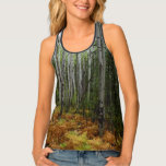 White Birch Trees and Fall Ferns at Rocky Mountain Tank Top