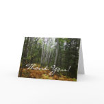 White Birch Trees and Fall Ferns at Rocky Mountain Thank You Card