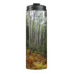 White Birch Trees and Fall Ferns at Rocky Mountain Thermal Tumbler