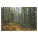 White Birch Trees and Fall Ferns at Rocky Mountain Tissue Paper