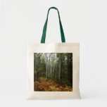 White Birch Trees and Fall Ferns at Rocky Mountain Tote Bag