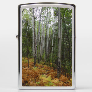 White Birch Trees and Fall Ferns at Rocky Mountain Zippo Lighter
