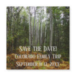 White Birch Trees and Fall Ferns Save the Date