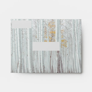 White Birch Trees Yellow Fall Leaves Envelope
