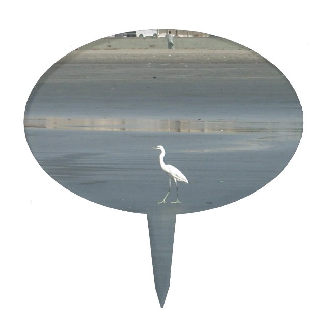 White Bird on Gray Sand Beach Art Print Cake Topper (Front)