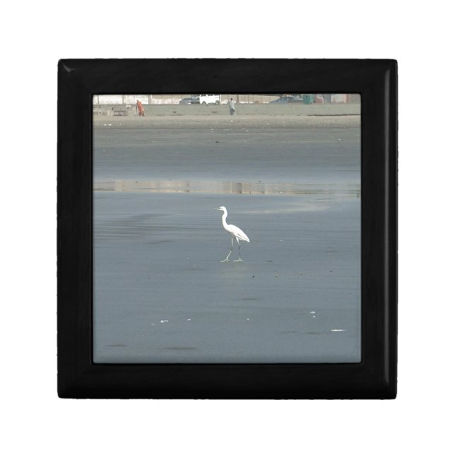 White Bird on Gray Sand Beach Art Print Jewelry Box (Front)