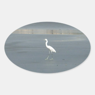 White Bird on Gray Sand Beach Art Print Oval Sticker
