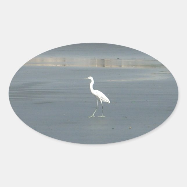 White Bird on Gray Sand Beach Art Print Oval Sticker (Front)