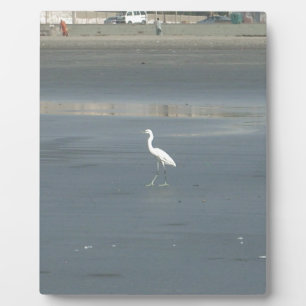 White Bird on Gray Sand Beach Art Print Plaque