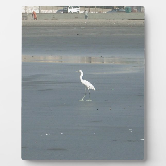 White Bird on Gray Sand Beach Art Print Plaque (Front)