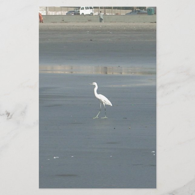 White Bird on Gray Sand Beach Art Print Stationery (Front)