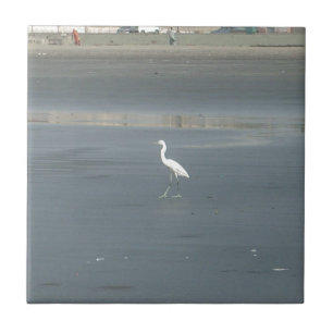 White Bird on Gray Sand Beach Art Print Tile