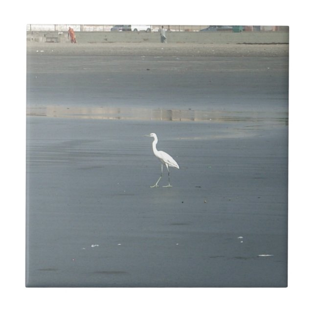 White Bird on Gray Sand Beach Art Print Tile (Front)