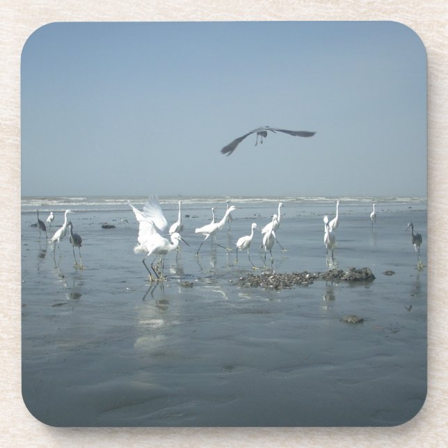 White birds featehres hakuna matata.JPG Beverage Coaster (Front)