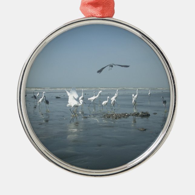 White birds featehres hakuna matata.JPG Metal Ornament (Front)