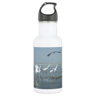 White birds featehres hakuna matata.JPG Water Bottle