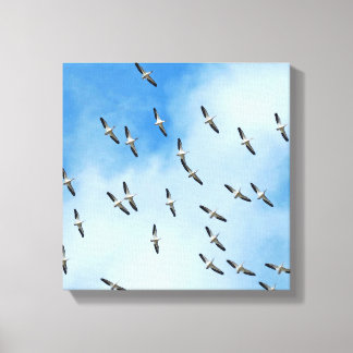 White Birds in Flight Canvas Print