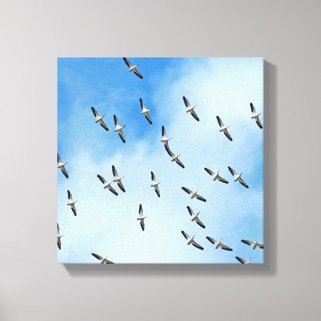 White Birds in Flight Canvas Print (Front)