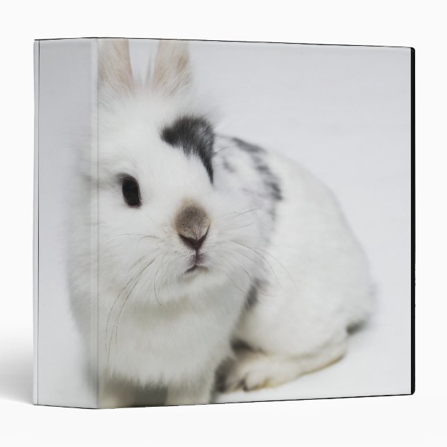 White, black and brown rabbit 3 ring binder (Front/Spine)