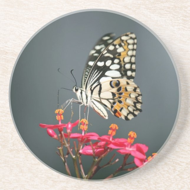 White Black and Yellow Butterfly on Pink Flowers Coaster (Front)