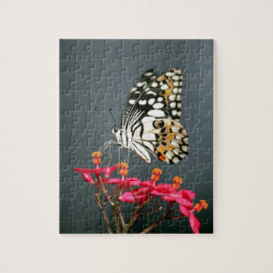 White Black and Yellow Butterfly on Pink Flowers Jigsaw Puzzle