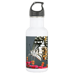 White Black and Yellow Butterfly on Pink Flowers Water Bottle