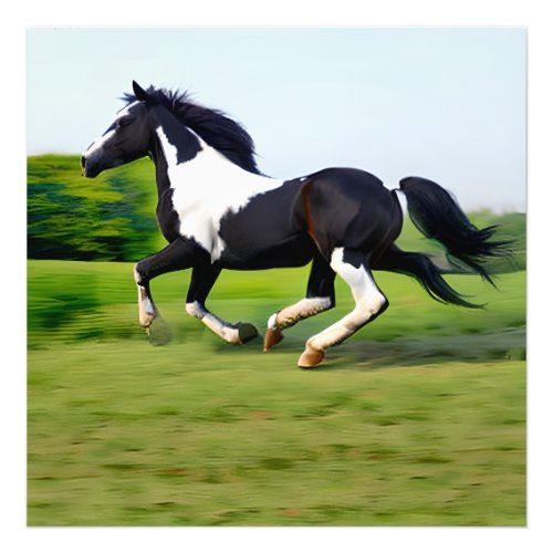White  Black Beauty Horse Galloping in Nature Photo Print