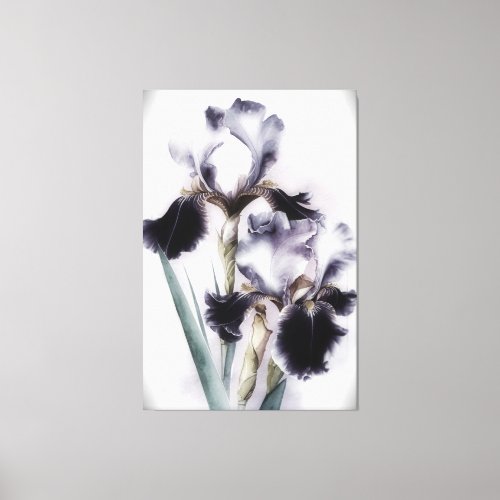  White Black Flower Artsy Iris Painting AP84 Canvas Print