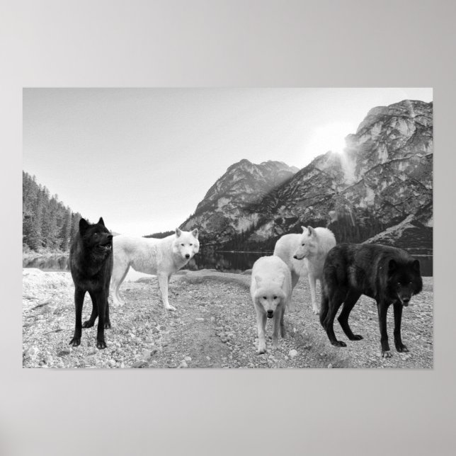 White Black Wolf River Landscape  Poster (Front)