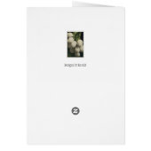 White Blackberry Cards (Back)