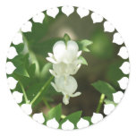 White Bleeding Heart Sticker