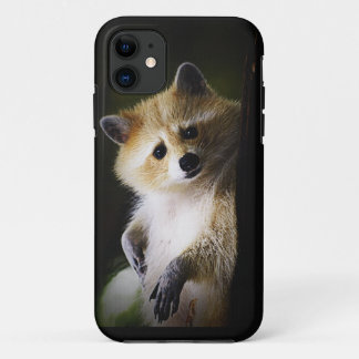 White Blond Raccoon Wildlife Cute Animal iPhone 11 Case