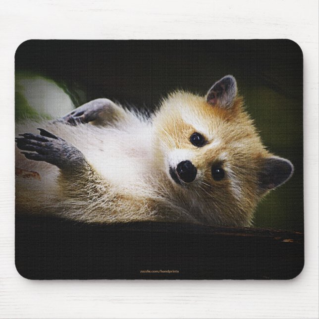 White Blond Raccoon Wildlife Cute Animal Mouse Pad (Front)