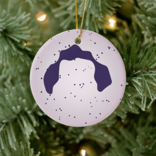 https://rlv.zcache.com/white_blood_cell_ceramic_ornament-r4a0295b2ceba442db3035d5ae5d31d41_05wi1_8byvr_307.jpg