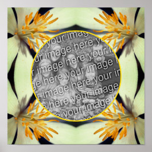 White Bloodroot Flower Frame Create Your Own Photo Poster