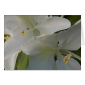 White Blooms (Front Horizontal)