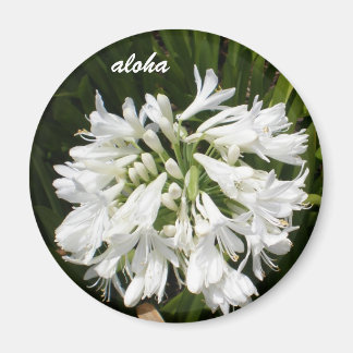 white blooms aloha magnet