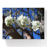 White Blossom Clusters Paperweight