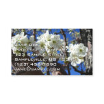 White Blossom Clusters Spring Flowering Pear Tree Business Card