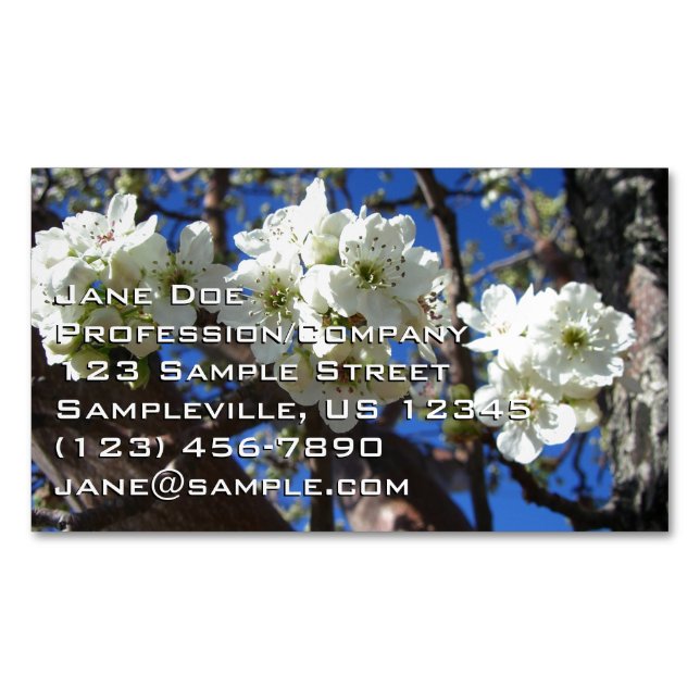 White Blossom Clusters Spring Flowering Pear Tree Business Card Magnet (Front)