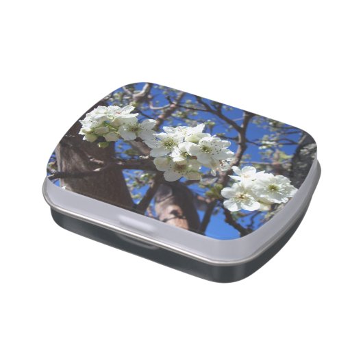 White Blossom Clusters Spring Flowering Pear Tree Candy Tin (Side)