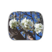 White Blossom Clusters Spring Flowering Pear Tree Candy Tin (Top)