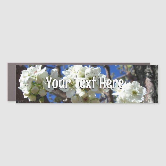White Blossom Clusters Spring Flowering Pear Tree Car Magnet (Front)