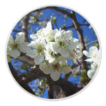 White Blossom Clusters Spring Flowering Pear Tree Ceramic Knob