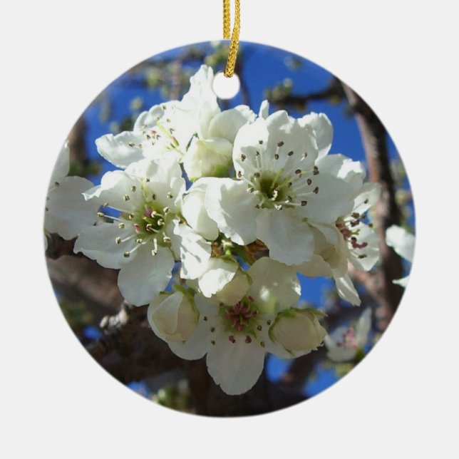 White Blossom Clusters Spring Flowering Pear Tree Ceramic Ornament (Front)