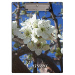 White Blossom Clusters Spring Flowering Pear Tree Clipboard