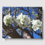 White Blossom Clusters Spring Flowering Pear Tree Guest Book