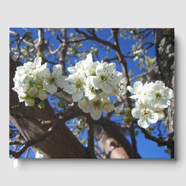 White Blossom Clusters Spring Flowering Pear Tree Guest Book (Front)
