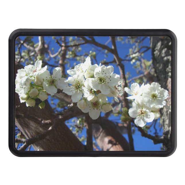 White Blossom Clusters Spring Flowering Pear Tree Hitch Cover (Front)