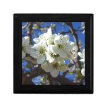 White Blossom Clusters Spring Flowering Pear Tree Jewelry Box